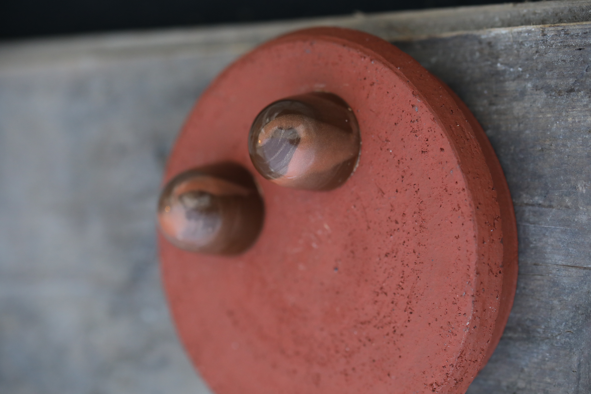 No-chocolate kastanje bonbon. Foto door Duncan de Fey.